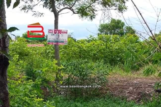 ˹ͧ���� �� Baan Bangkok Broker