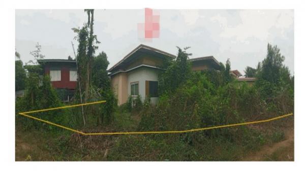 ��������� �� panaya.opalopal