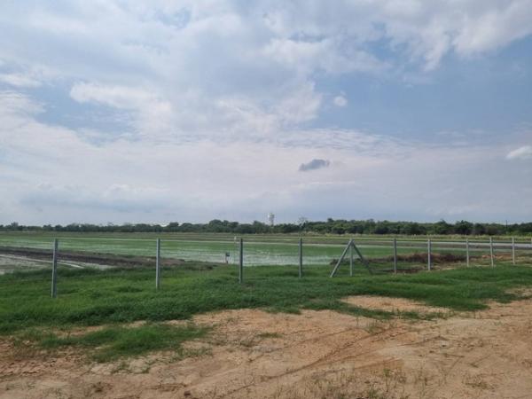 ���ԧ��� �� Nan