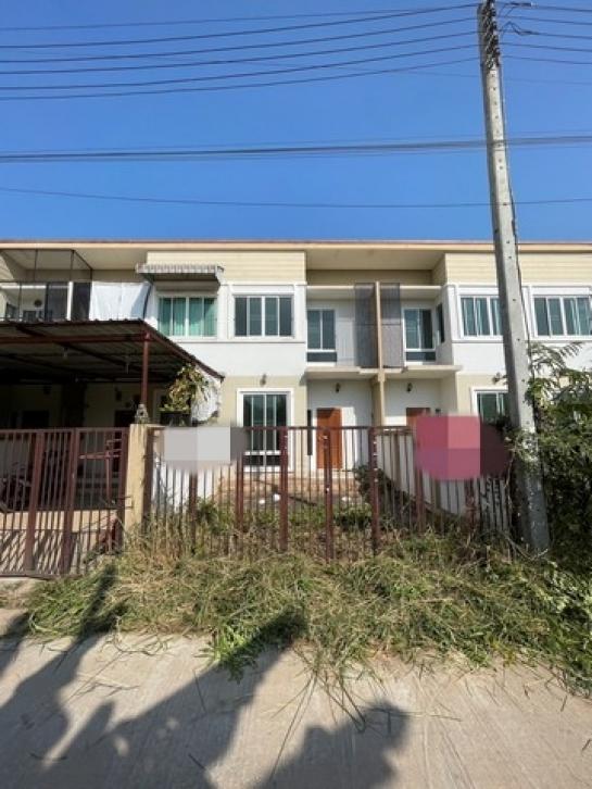 ��ɳ��š �� compos2566