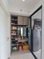 ��¤͹� �ҧࢹ ��ا෾