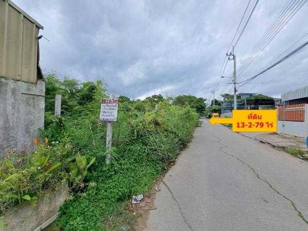 ��ا෾ �� livingd949