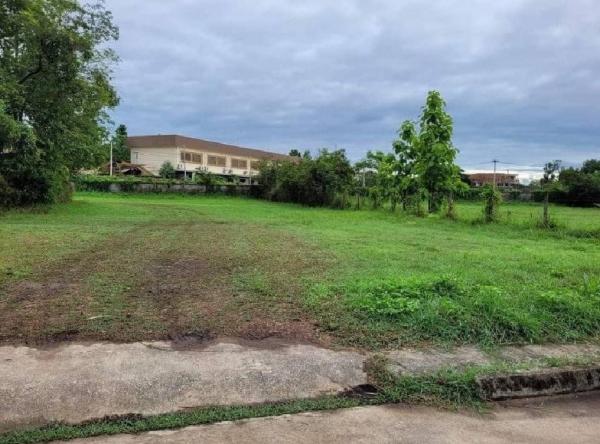 ���Թ�ҧ�� �� Sawasdee