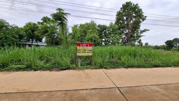 �͹�� �� zionasset1