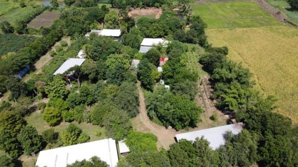 ྪú�ó� �� Jyn Property