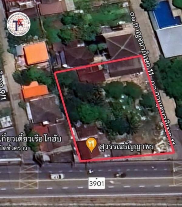 ��ا෾ �� TheEstate78924