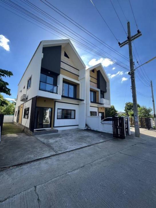 �Ң�ѭ �Ź�����