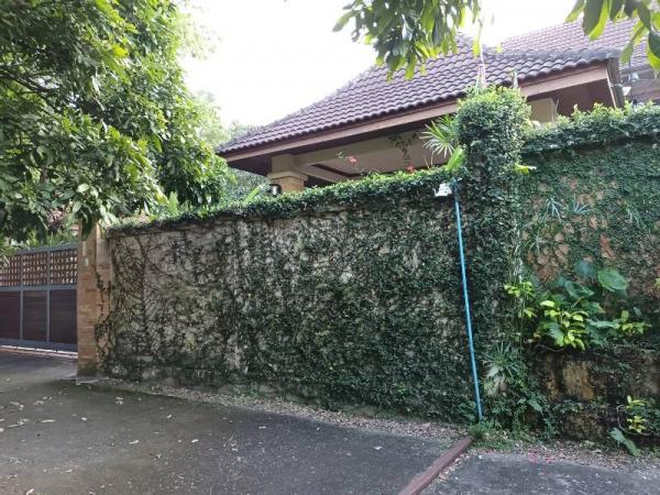 �Ң�ѭ �Ź�����