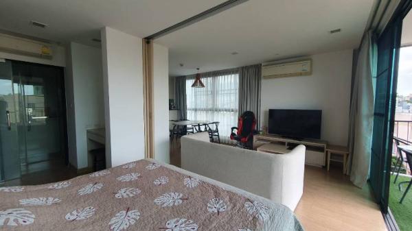 �Ң�ѭ �Ź�����