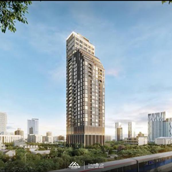 ��¾��� �� Yoknewproperty