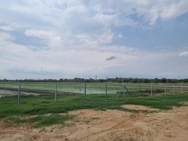 �ҧ��� �� eakplsub64