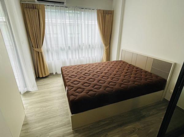 �͹����ͧ �� samita