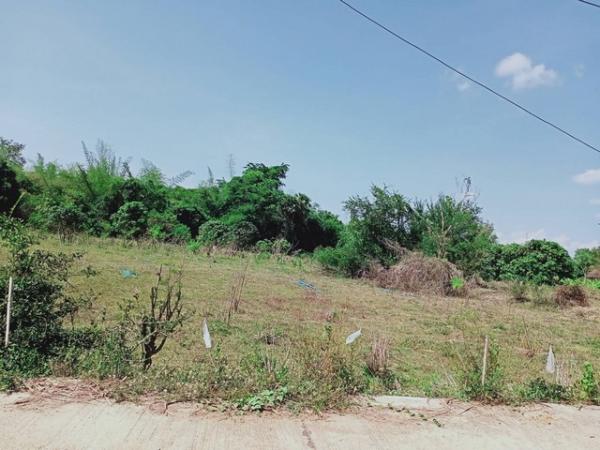 ที่ดิน ทำนา ที่ดิน ทำนา