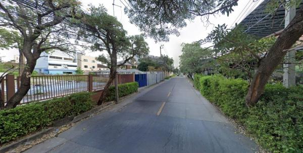 �ǹ��ǧ �� HarrisonTH