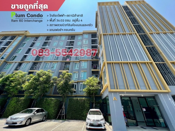 ��¤͹� ���: