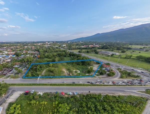 ������ �� sopa