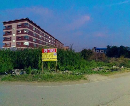 ������� �� zionasset1