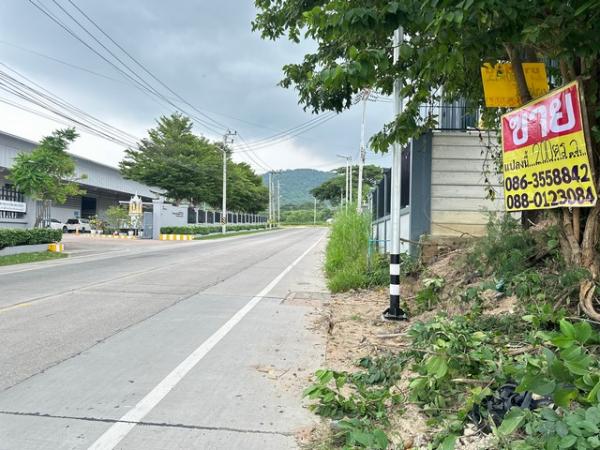 ������ �� zionasset1