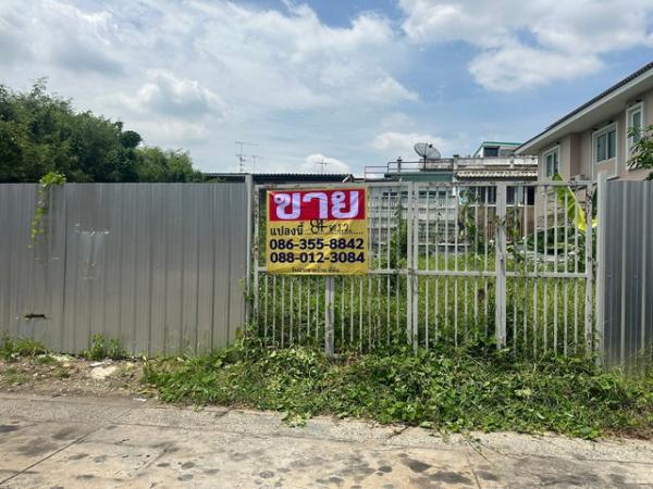 �ҧ�л� �� zionasset1