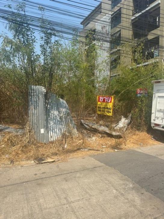 �ҧ�л� �� zionasset1