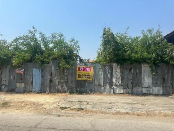 �Ҵ����� �� zionasset1