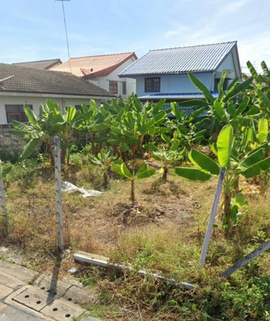 �ҧࢹ �� zionasset1