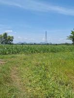 ��·��Թ �Ҥһ�С�Ȣ�� 14,670,000 �ҷ