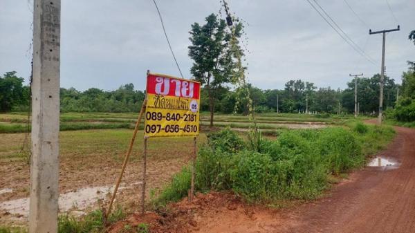 ˹ͧ��� �� zionasset1