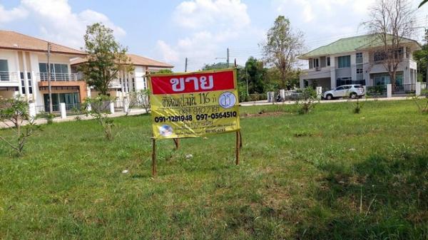 �� �� zionasset1