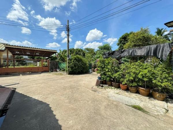 �ҧ� �� amaraphat78