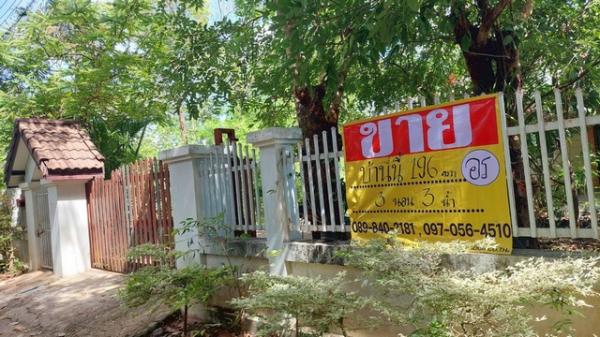 ��ҹ 197 ���ҧ�� ���������