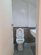 ��ǹ������������� ������