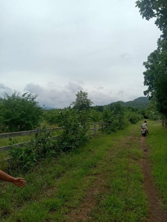 ��¹���Ҫ���� �� PL BUA