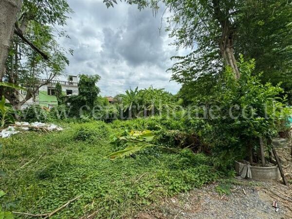 ���ͧ �� ����ѷ �繷��� ��� ���;������ �ӡѴ