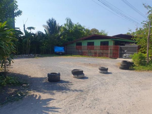 �ҧ� �� amaraphat78