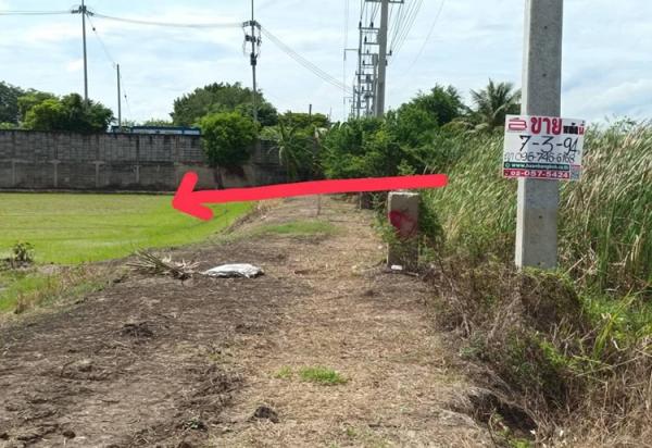 �ʹ� �� Baan Bangkok Broker