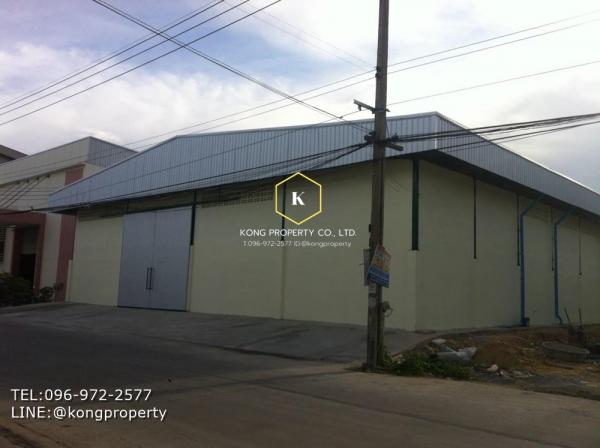 ⡴ѧ�ҧ��� �� Kong property