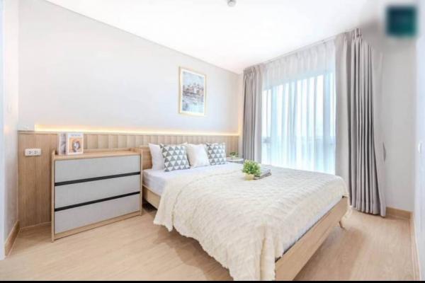 ��ا෾ �� All Living