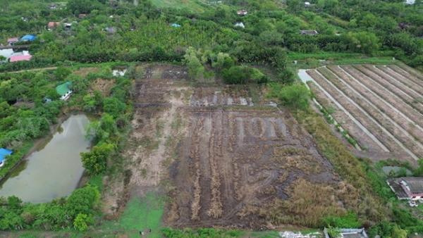 ���ԧ��� �� central2