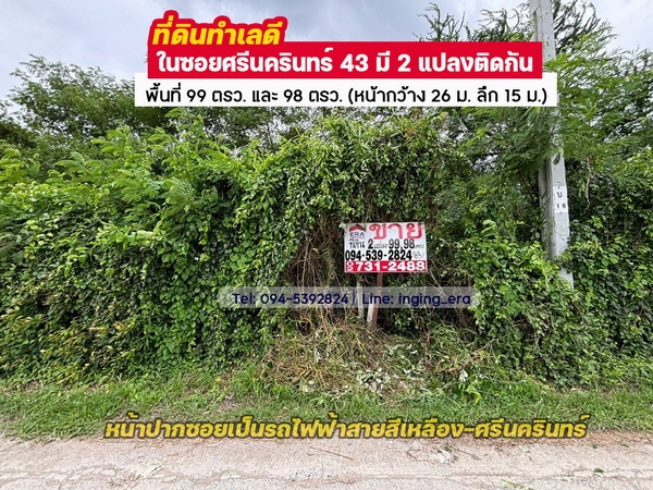 ��¾��⢹� �� lovethaihome101