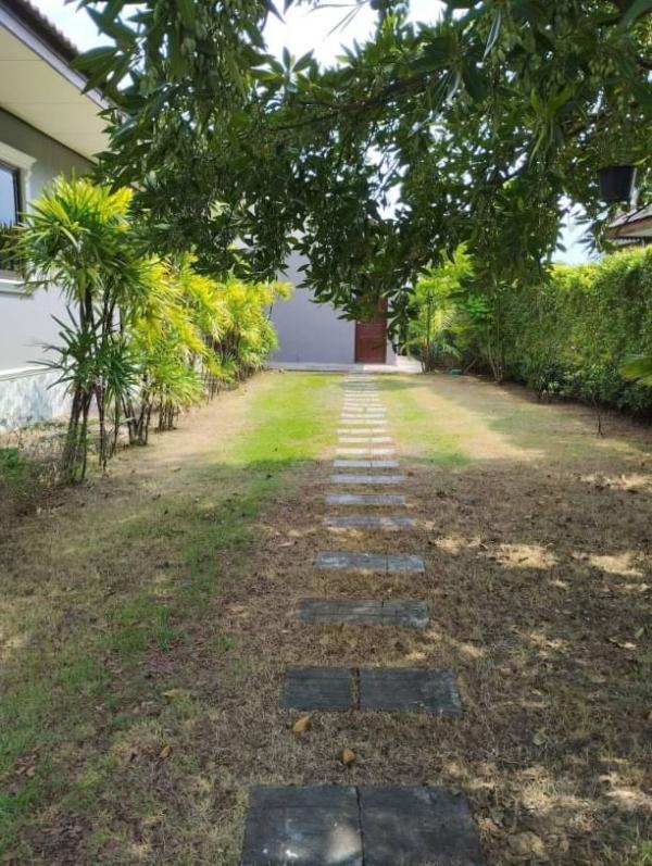 �ҧ�� �� onanong khumaphao