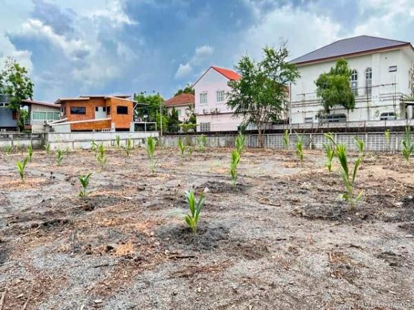 ������ �� asanghapl