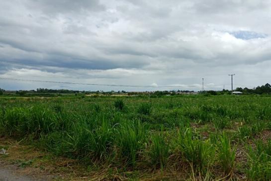 ����Թ �� Estate Corner