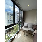 �͹� 33 ���ҧ����