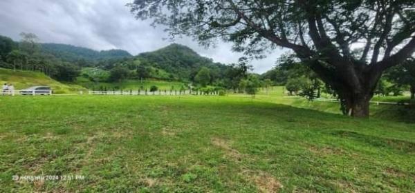 �ҧ�� �� northern1