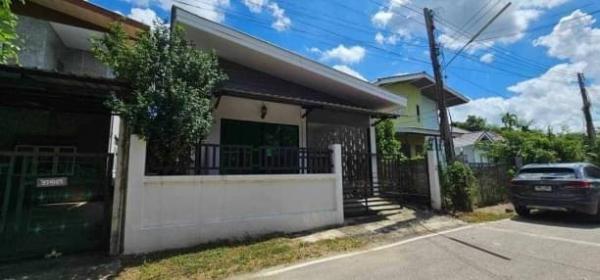 ���ͧ �� northern1