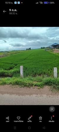 ���ԧ��� �� sopa