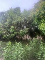 ��·��Թ �ѹ��ҵͧ