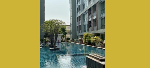 ��� �� surachai promdirek