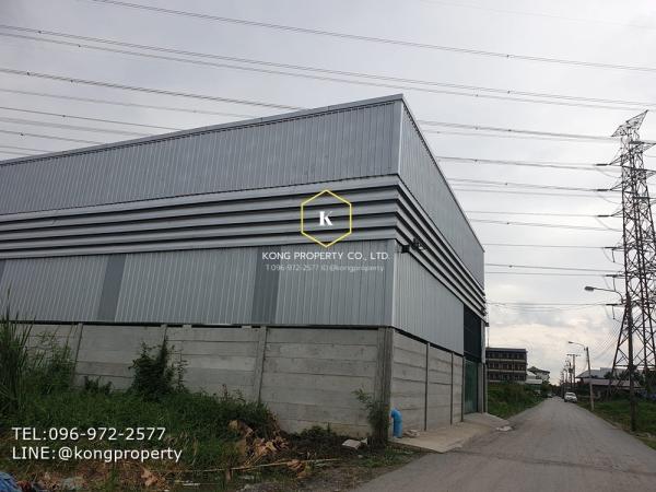 ⡴ѧ������ �� Kong property